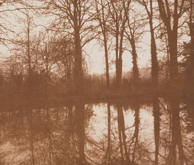 Riflessioni, 1843 da William Henry Fox Talbot