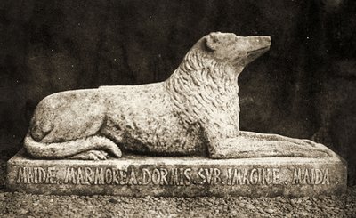 Statua di Maida, si dice fosse il cane preferito di Sir Walter Scott da William Henry Fox Talbot