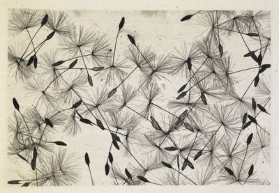 Talbot foto 24 1730 da William Henry Fox Talbot