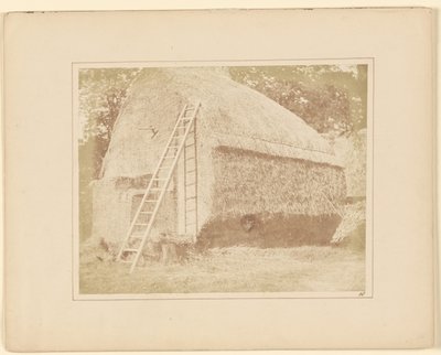 Il pagliaio da William Henry Fox Talbot