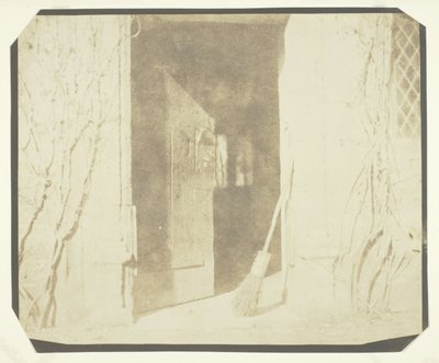 Il soliloquio della ginestra da William Henry Fox Talbot