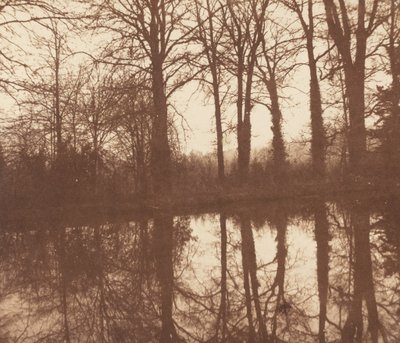 Alberi Invernali Riflessi in uno Stagno da William Henry Fox Talbot