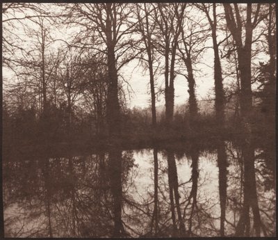 Alberi invernali riflessi in uno stagno da William Henry Fox Talbot