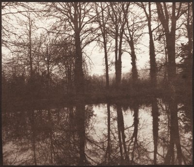 Alberi invernali riflessi in uno stagno, 1841-42 da William Henry Fox Talbot