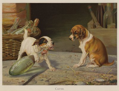 Causa da William Henry Hamilton Trood