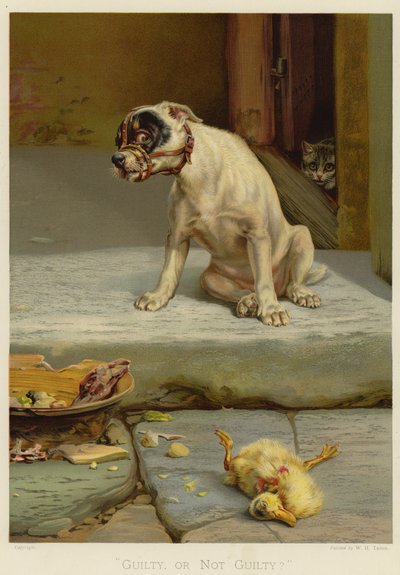 Colpevole o non colpevole (cromolitografia) da William Henry Hamilton Trood