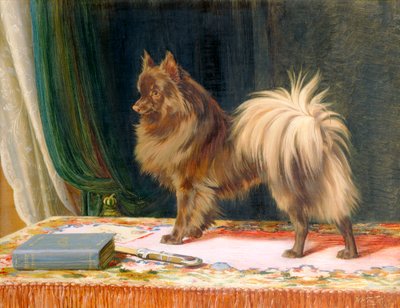 Ritratto di Prairie Prince da William Henry Hamilton Trood