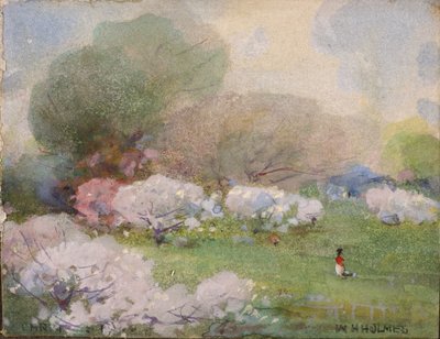 Fiori di ciliegio da William Henry Holmes