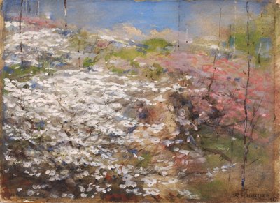 Campo di fiori da William Henry Holmes