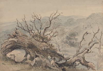 Una quercia abbattuta da William Henry Hunt