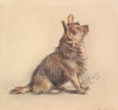 da William Henry Hunt