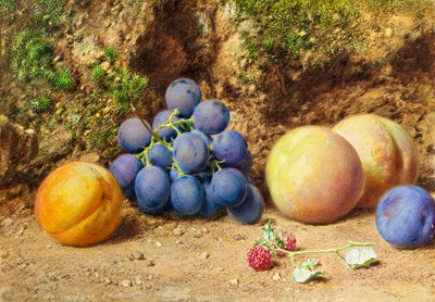 Uva nera, pesche, albicocche e lamponi, c.1860 da William Henry Hunt