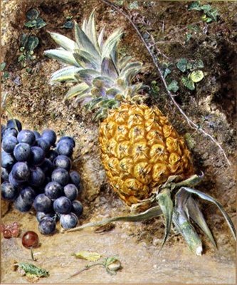 Uva e un ananas (guazzo su carta) da William Henry Hunt
