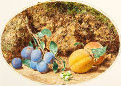 Prugne viola, albicocche e noci di legno da William Henry Hunt