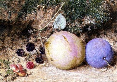 Cinorrodi, more e prugne da William Henry Hunt