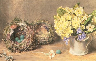 Fiori di Primavera e Nidi di Uccelli, c.1830 da William Henry Hunt