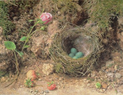 Natura morta con nido d
