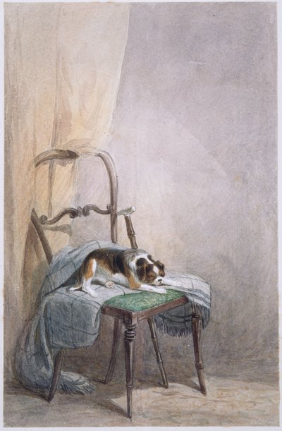 Studio di un cane su una sedia da William Henry Hunt