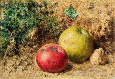 Il contrasto - Mele rosse e verdi, c.1860 da William Henry Hunt