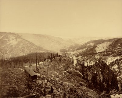 Valle di Los Pinos, sguardo verso est da William Henry Jackson