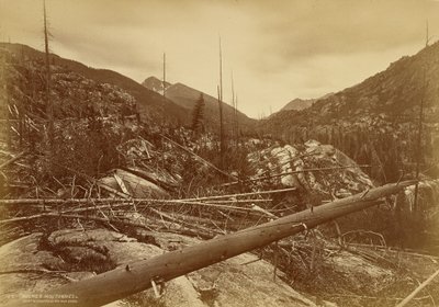 «Roches Moutonnées» presso la Montagna della Santa Croce da William Henry Jackson
