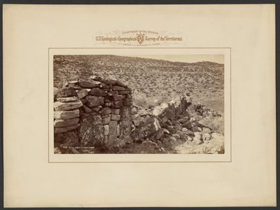 Rovine a Montezuma Cañon da William Henry Jackson