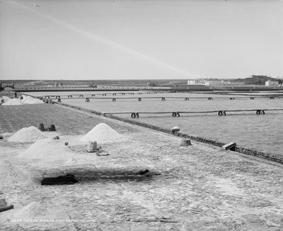 Saline e vasche di raffinazione, Messico, c.1880-97 da William Henry Jackson