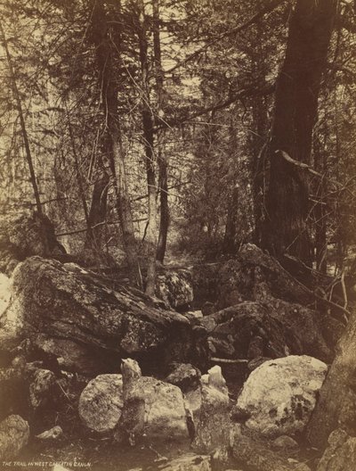 Il sentiero nel West Gallatin Canyon da William Henry Jackson