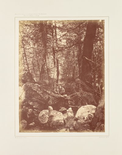 Il sentiero nel bosco, Gallatin Cañon da William Henry Jackson