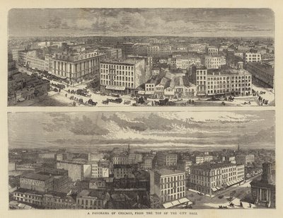 Panorama di Chicago, dalla Cima del Municipio da William Henry James Boot