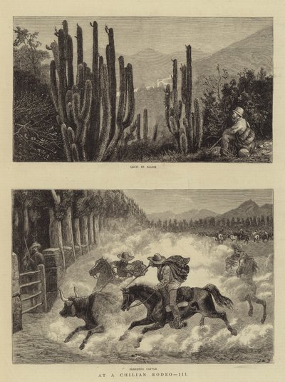 A un rodeo cileno, III da William Henry James Boot