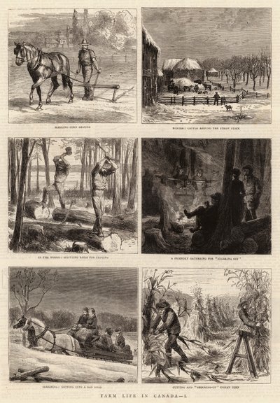 Vita contadina in Canada, I da William Henry James Boot