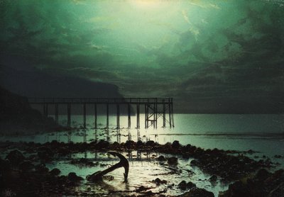 Bassa marea al chiaro di luna, 1874 da William Henry James Boot
