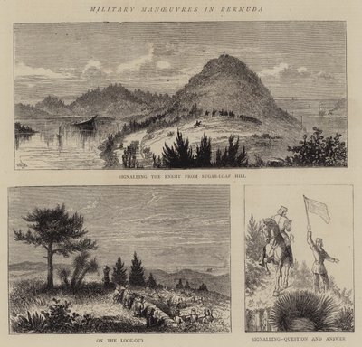 Manovre Militari alle Bermuda da William Henry James Boot