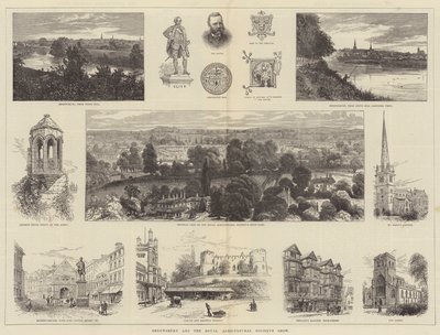 Shrewsbury e la mostra della Royal Agricultural Society da William Henry James Boot