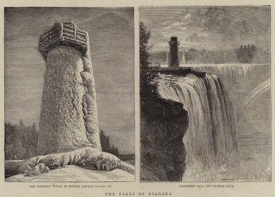Le Cascate del Niagara da William Henry James Boot
