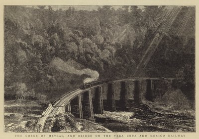 La gola di Metlac e il ponte sulla ferrovia Vera Cruz e Messico da William Henry James Boot