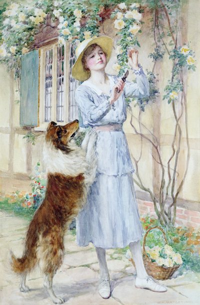 Raccolta di rose da William Henry Margetson