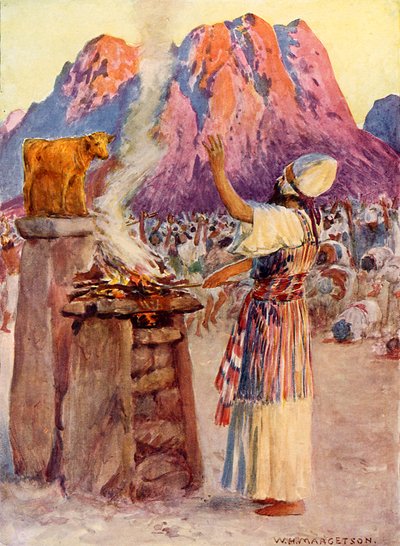 Il vitello d
