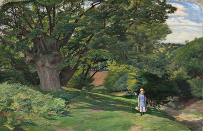 Hayes Common da William Henry Millais