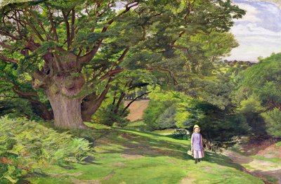 Hayes Common, 1852-53 da William Henry Millais