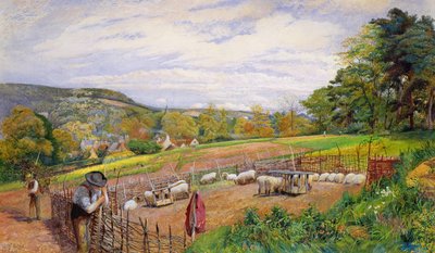 Riparare il Recinto delle Pecore, 1858 da William Henry Millais