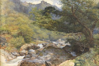 Sul Lyn, North Devon da William Henry Millais
