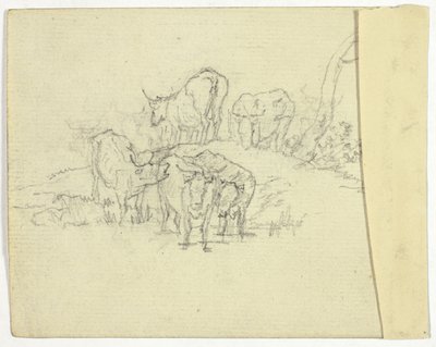 Bovini (recto); Il ciarlatano (verso) da William Henry Pyne