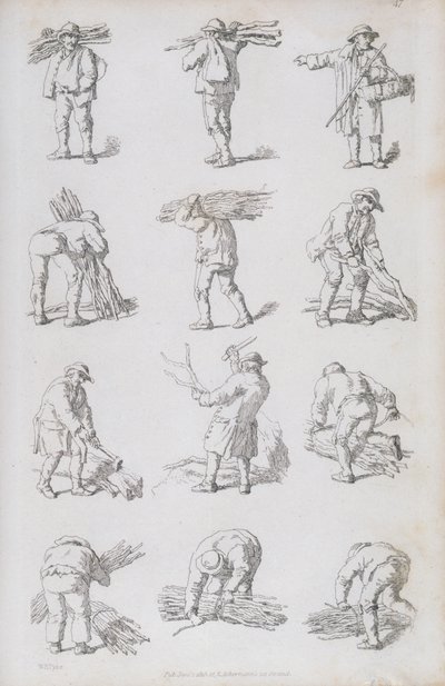 Illustrazione da 