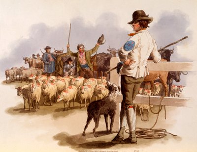 Drover di Smithfield, da 