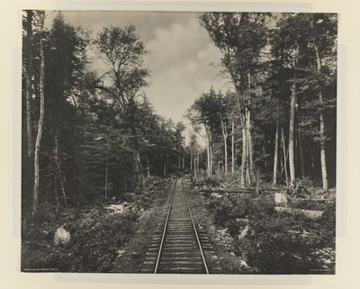 Ramo del Lago Ganoga, L.V.R.R. da William Herman Rau