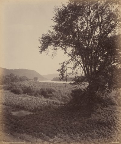 Susquehanna pittoresco, vicino a Laceyville, 1895 circa (foto) da William Herman Rau