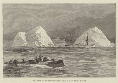 HMS Tyne e torpediniere tra gli iceberg nell