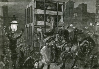 Il viaggio di Jumbo ai moli da William Heysham Overend